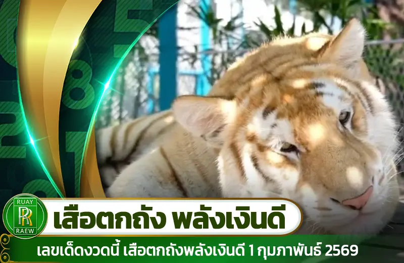 เสือตกถังพลังเงินดี 1/2/69